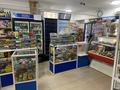 Продуктовый магазин · 87 м², бағасы: 55 млн ₸ в Астане, Есильский р-н