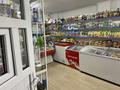 Продуктовый магазин · 87 м², бағасы: 55 млн ₸ в Астане, Есильский р-н — фото 2