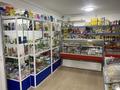 Продуктовый магазин · 87 м², бағасы: 55 млн ₸ в Астане, Есильский р-н — фото 3