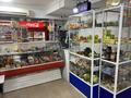 Продуктовый магазин · 87 м², бағасы: 55 млн ₸ в Астане, Есильский р-н — фото 4