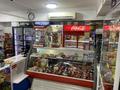 Продуктовый магазин · 87 м², бағасы: 55 млн ₸ в Астане, Есильский р-н — фото 5