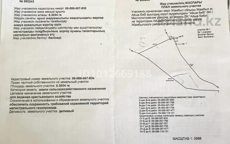Участок · 430 соток, Айша биби — Вдоль трассы Западная европа западный Китай в районе с Айшабии 4-3034 гектар земельный участок Сельхоз назначение вода , газ, электричество рядом за 13 млн ₸ в Айша-Биби — фото 2