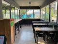 Общепит · 50 м² за 31 млн ₸ в Актау, 14-й мкр — фото 12