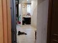 3-бөлмелі пәтер · 56 м² · 1/4 қабат, Айманова — Налоговая Бостандыкского района, бағасы: 39.5 млн ₸ в Алматы, Бостандыкский р-н — фото 5