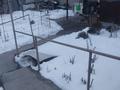 Отдельный дом · 2 комнаты · 40 м² · 3 сот., Тимофеева 41/3 — Рыскулова-Отрарская за 34.5 млн ₸ в Алматы, Алатауский р-н