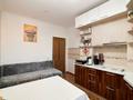 2-комнатная квартира · 50 м² · 10/16 этаж, Акмешит за 26 млн ₸ в Астане, Есильский р-н — фото 4