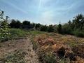 Отдельный дом · 5 комнат · 140 м² · 14 сот., Исагулова за 70 млн ₸ в Иргели — фото 8