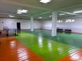 2 комнаты · 270 м² · 1/3 этаж, Нурпеисова 230 за 500 000 ₸ в Алматы, Наурызбайский р-н — фото 3