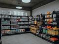 Жеке үй · 5 бөлме · 250 м² · 10 жүзд., Еркокше 27, бағасы: 400 млн ₸ в Астане, Алматы р-н — фото 24