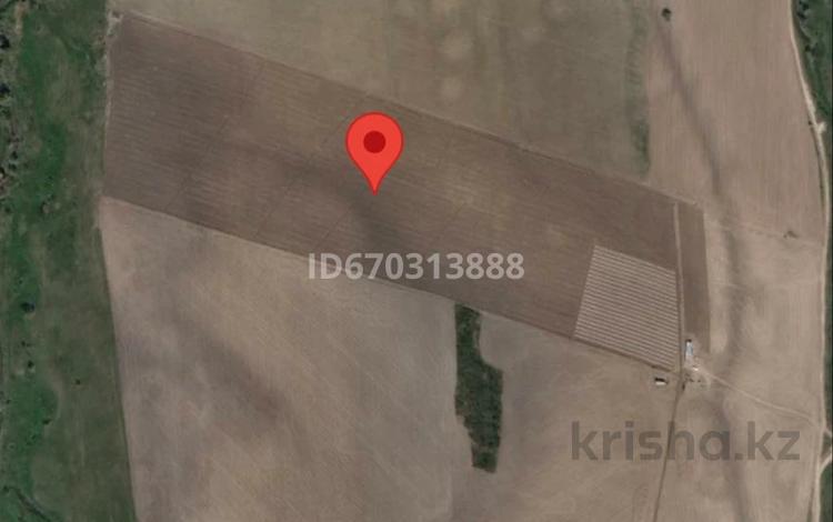 Жер телімі · 12 га, Қойшыбек, бағасы: 15 млн ₸ в Койшыбеке — фото 2