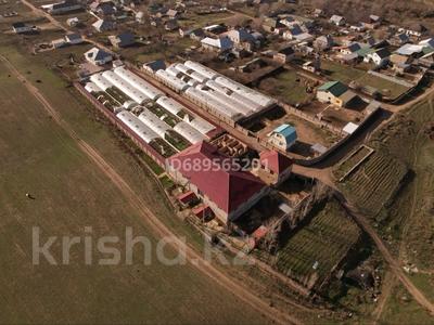 Продажа коммерческой недвижимости в Алматинской обл.: Сельское хозяйство · 10000 м² за 200 млн 〒 Сельское хозяйство · 10000 м² за 200 млн 〒 в Чапаево