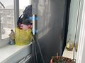 2-бөлмелі пәтер · 45.3 м² · 5/5 қабат, Мусрепова 9 — Район перинатального центра, бағасы: 16.5 млн ₸ в Петропавловске — фото 12