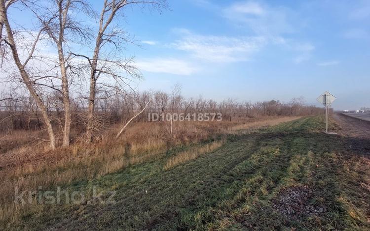 Участок · 1 га, Мамлютское шоссе за 5.9 млн 〒 в Петропавловске — фото 2