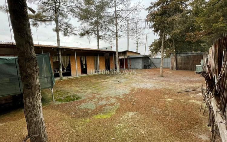 Магазины и бутики · 95 м² за 35 млн ₸ в Асыкате — фото 5