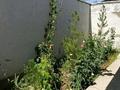 Отдельный дом · 4 комнаты · 120 м² · 7 сот., жилой массив Кайнар Булак, Клубничная 111 за 35 млн ₸ в Шымкенте, Абайский р-н — фото 18