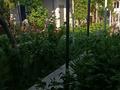 Отдельный дом · 4 комнаты · 120 м² · 7 сот., жилой массив Кайнар Булак, Клубничная 111 за 35 млн ₸ в Шымкенте, Абайский р-н — фото 51