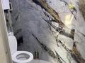 Отдельный дом · 2 комнаты · 64 м² · 9 сот., жилой массив Кайнар Булак, Виноградная 146 за 23 млн ₸ в Шымкенте, Абайский р-н — фото 19