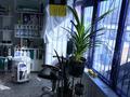 Свободное назначение · 210 м² за 87 млн ₸ в Иргели — фото 3