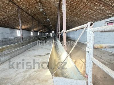 Сельское хозяйство · 2500 м² за 39.9 млн ₸ в Шымкенте