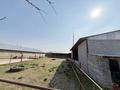 Сельское хозяйство · 2500 м² за 39.9 млн ₸ в Шымкенте — фото 2