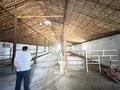 Сельское хозяйство · 2500 м² за 39.9 млн ₸ в Шымкенте — фото 5