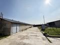 Сельское хозяйство · 2500 м² за 39.9 млн ₸ в Шымкенте — фото 9