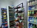 Готовый действующий бизнес-ПРОДУКТОВЫЙ МАГАЗИН · 35 м² за 13.5 млн ₸ в Алматы, Бостандыкский р-н — фото 12