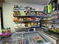 Готовый действующий бизнес-ПРОДУКТОВЫЙ МАГАЗИН · 35 м² за 13.5 млн ₸ в Алматы, Бостандыкский р-н — фото 4