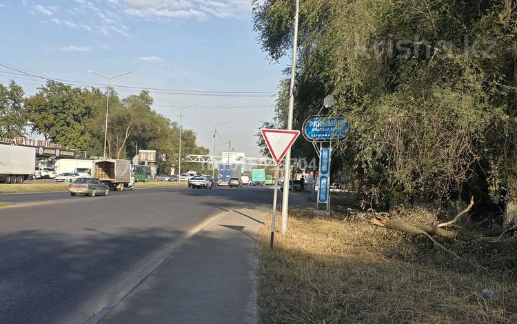 Жер телімі · 10 га, Қаскелең, бағасы: 580 млн ₸ в Каскелене — фото 2