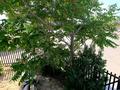 Жеке үй · 6 бөлме · 275 м², База отдыха West home 1, бағасы: 50 000 〒 в Актау — фото 13
