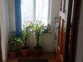 2-бөлмелі пәтер · 25 м² · 1/1 қабат, Гиергевка 54, бағасы: 15 млн ₸ в Ленгере — фото 11