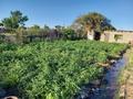 Дача • 25 м² • 8 сот., 1 водоколонка 1 трестовские сады за 3.5 млн 〒 в Балхаше — фото 7