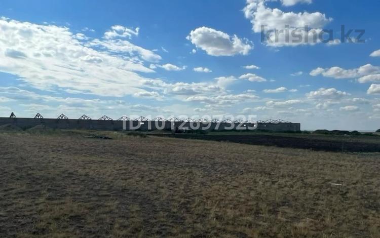 Өнеркәсіптік база · 2 га, Софиевка 1, бағасы: 40 млн ₸ в Астане — фото 2