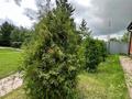 Жеке үй · 10 бөлме · 800 м² · 18 жүзд., Окжетпес 20, бағасы: 230 млн ₸ в Бурабае — фото 27