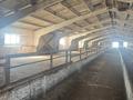 Растениеводческий-животноводческий комплекс · 5000 м² за 680 млн ₸ в Молодежном — фото 8