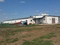 Растениеводческий-животноводческий комплекс · 5000 м² за 680 млн ₸ в Молодежном — фото 7