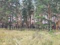 Участок · 20 соток, Щербаково за 26 млн ₸ в Костанайской обл. — фото 11