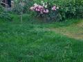 Часть дома · 4 комнаты · 94 м² · 4 сот., Международная 62 — Акансеры. дулатова за 50 млн ₸ в Алматы, Турксибский р-н — фото 6