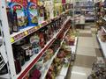 Готовый бизнес продуктовый магазин · 110 м² за 20 млн ₸ в Астане, р-н Байконур — фото 3