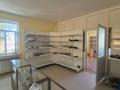 Магазины и бутики, склады · 608 м² за 300 млн ₸ в Шымкенте, Абайский р-н — фото 6