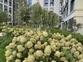 3-бөлмелі пәтер · 77 м² · 4/12 қабат, Кабанбай батыр 56 — Ботанический сад, бағасы: 122.5 млн ₸ в Астане, Есильский р-н — фото 84
