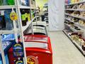 Продуктовый магазин · 71 м², бағасы: 5.9 млн ₸ в Астане, Есильский р-н — фото 14