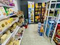 Продуктовый магазин · 71 м², бағасы: 5.9 млн ₸ в Астане, Есильский р-н — фото 15