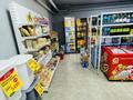 Продуктовый магазин · 71 м², бағасы: 5.9 млн ₸ в Астане, Есильский р-н — фото 16