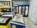 Продуктовый магазин · 71 м², бағасы: 5.9 млн ₸ в Астане, Есильский р-н — фото 17