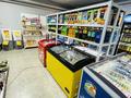Продуктовый магазин · 71 м², бағасы: 5.9 млн ₸ в Астане, Есильский р-н — фото 18