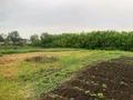 Отдельный дом · 3 комнаты · 80 м² · 10 сот., Абая 67 — П. Октябрьский за 12 млн ₸ в Лисаковске — фото 13
