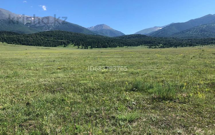 Жер телімі · 24 га, Катон карагай, бағасы: 125 млн 〒 в  — фото 4