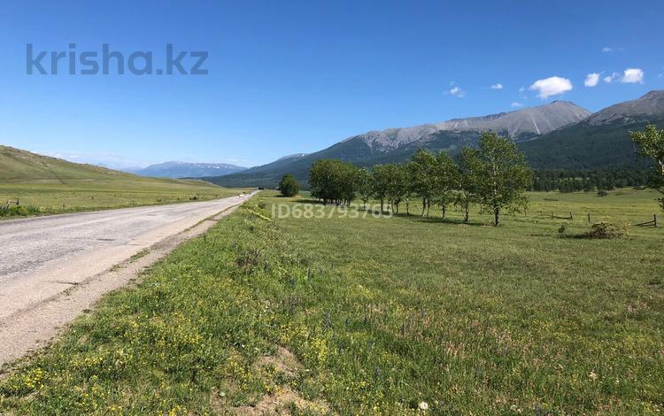 Участок · 24 га, Катон карагай за 105 млн ₸ в  — фото 8