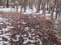 Жер телімі · 20 сотық, Накабаева — Возле дороги, бағасы: 15 млн ₸ в  — фото 9